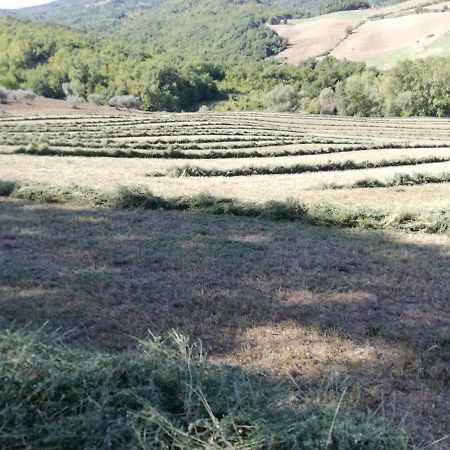Casa A Montebello Di Bertona Con Vista Gran Sasso Βίλα Εξωτερικό φωτογραφία