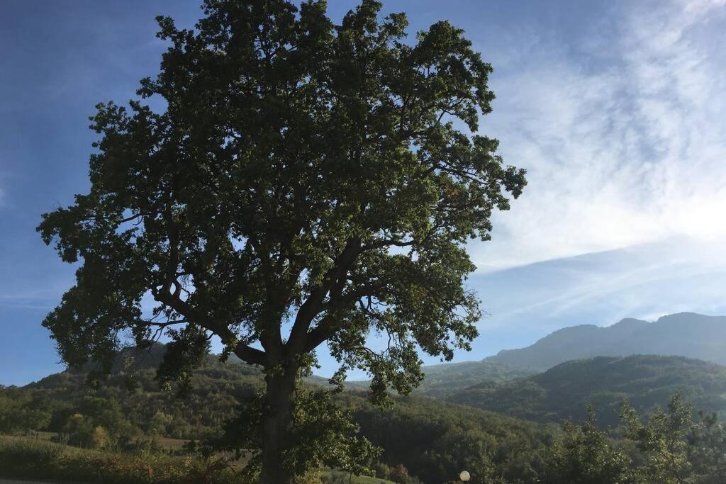 Casa A Montebello Di Bertona Con Vista Gran Sasso Βίλα Εξωτερικό φωτογραφία