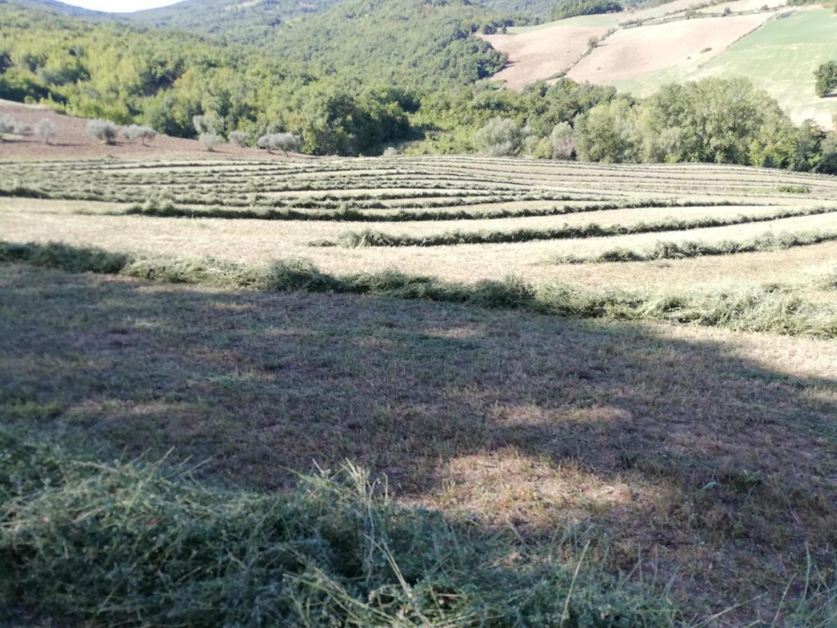 Casa A Montebello Di Bertona Con Vista Gran Sasso Βίλα Εξωτερικό φωτογραφία