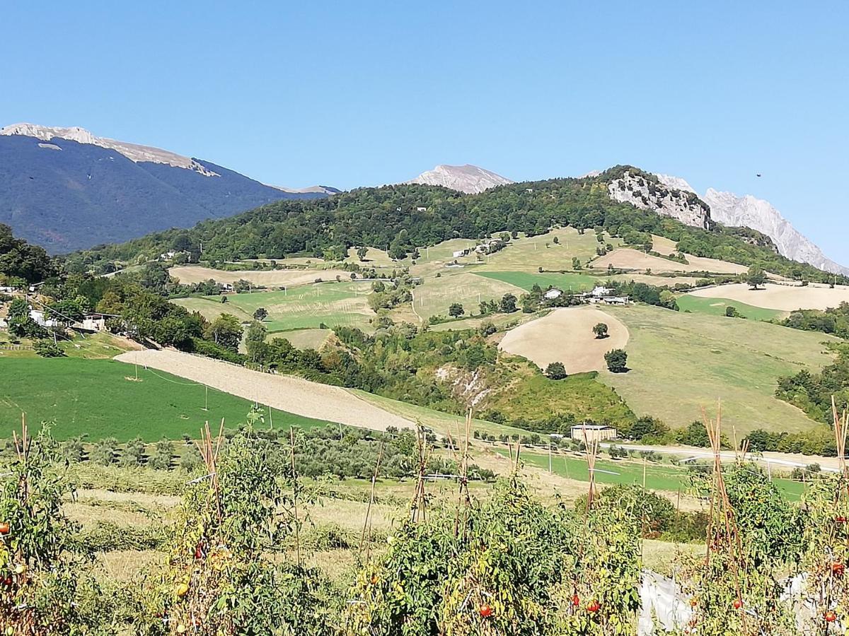 Casa A Montebello Di Bertona Con Vista Gran Sasso Βίλα Εξωτερικό φωτογραφία