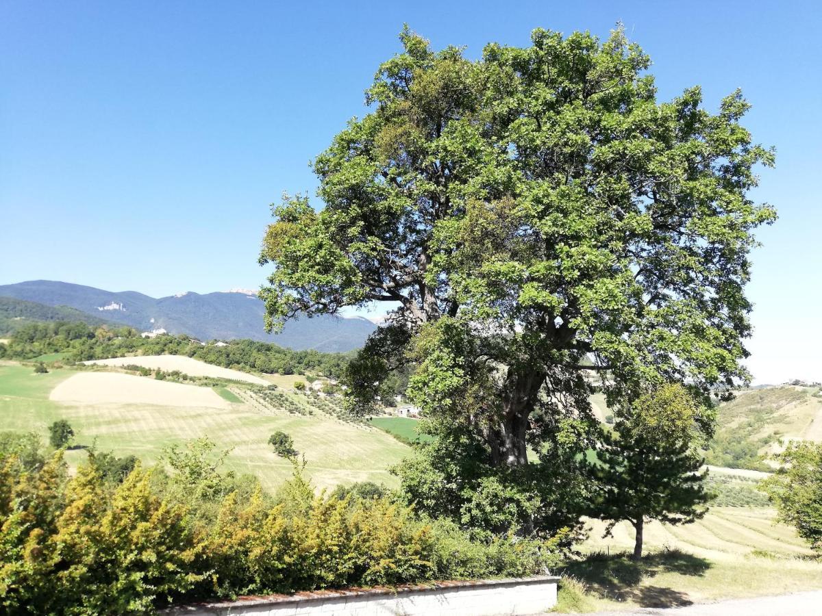 Casa A Montebello Di Bertona Con Vista Gran Sasso Βίλα Εξωτερικό φωτογραφία